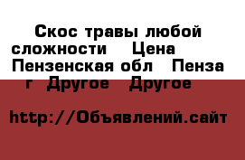 Скос травы любой сложности. › Цена ­ 100 - Пензенская обл., Пенза г. Другое » Другое   